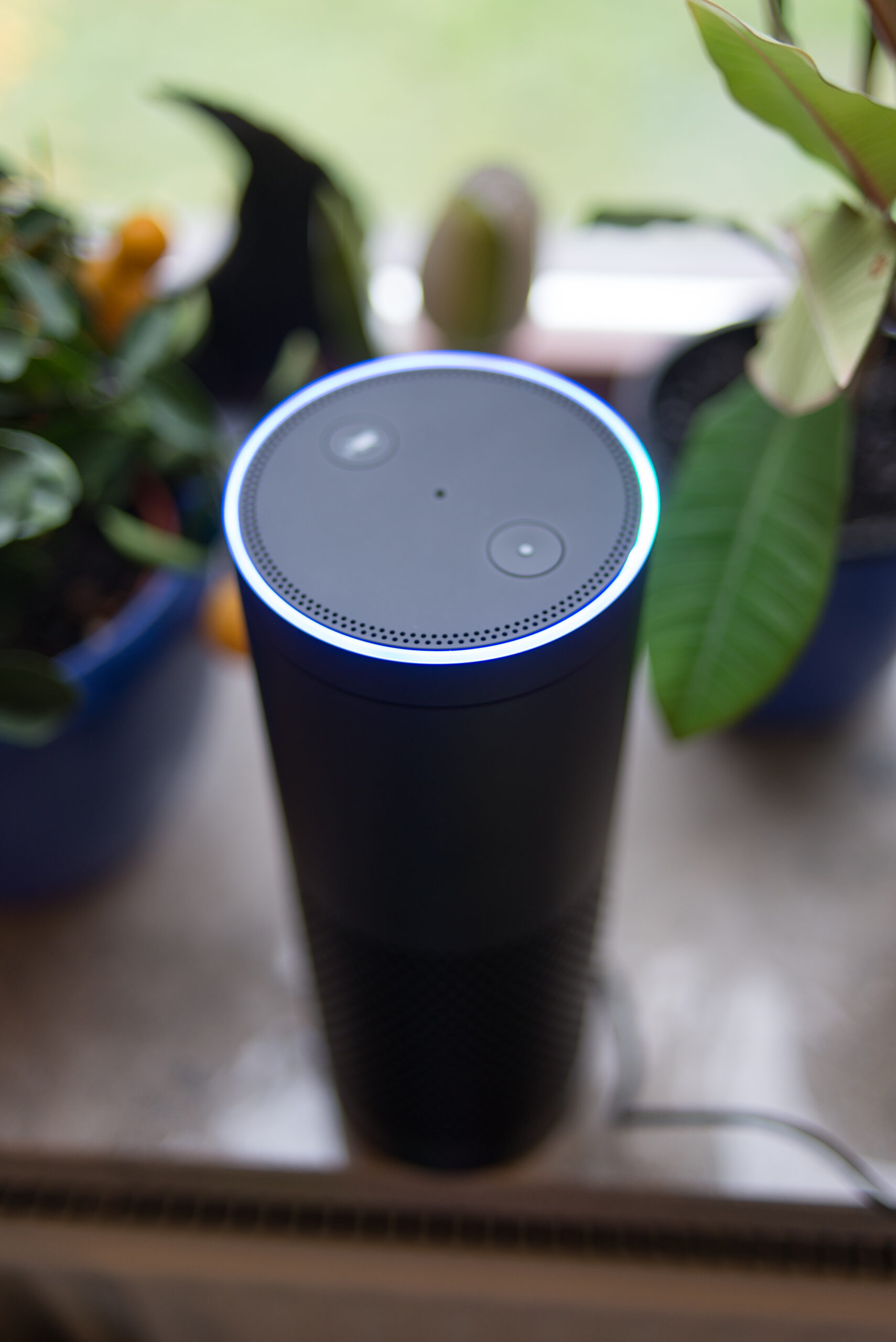 Amazon Echo