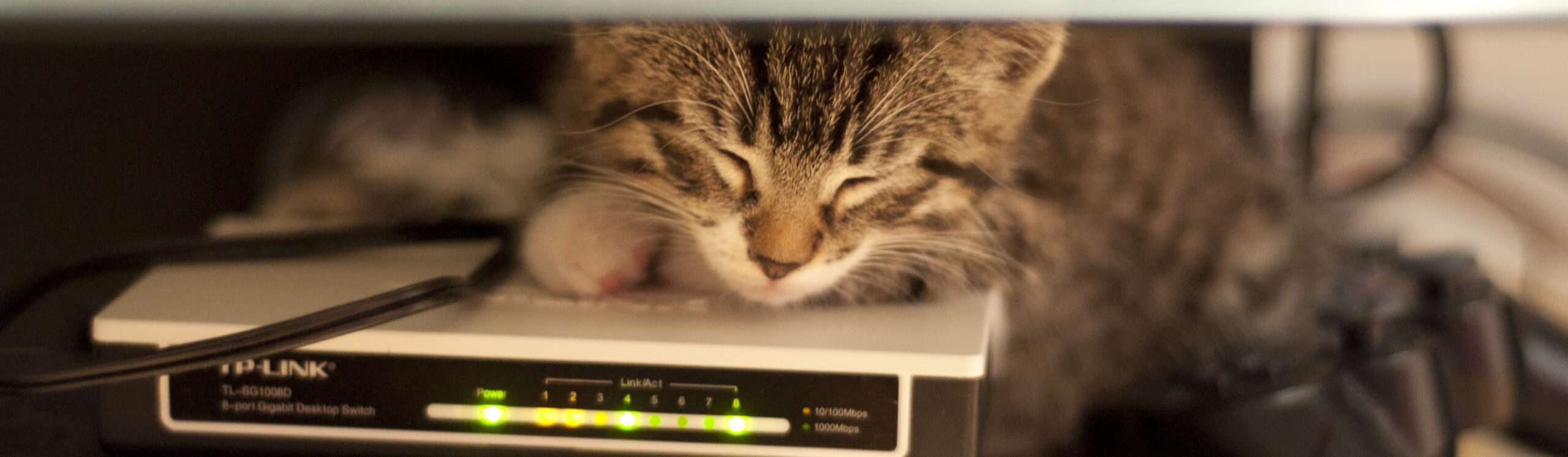 Network cat switch