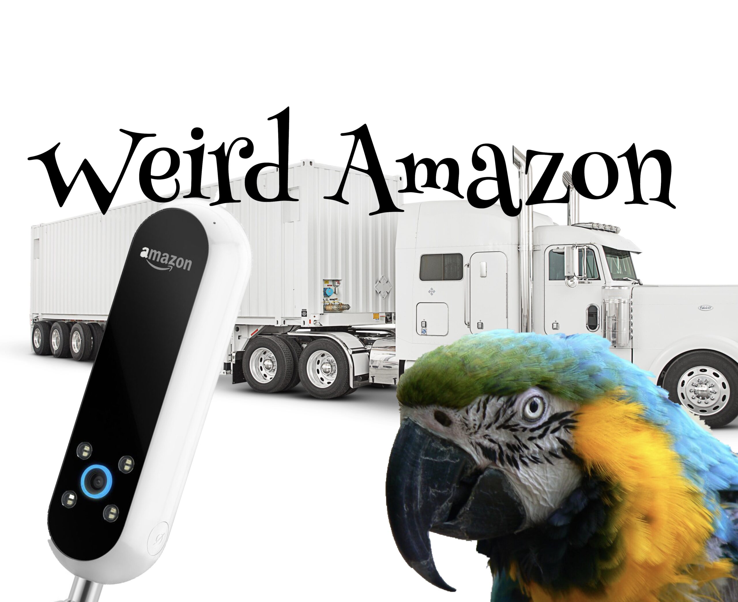 weird amazon 2
