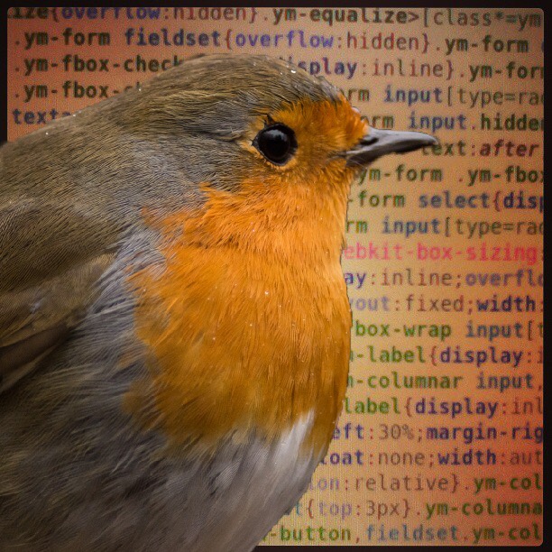 Robin and System