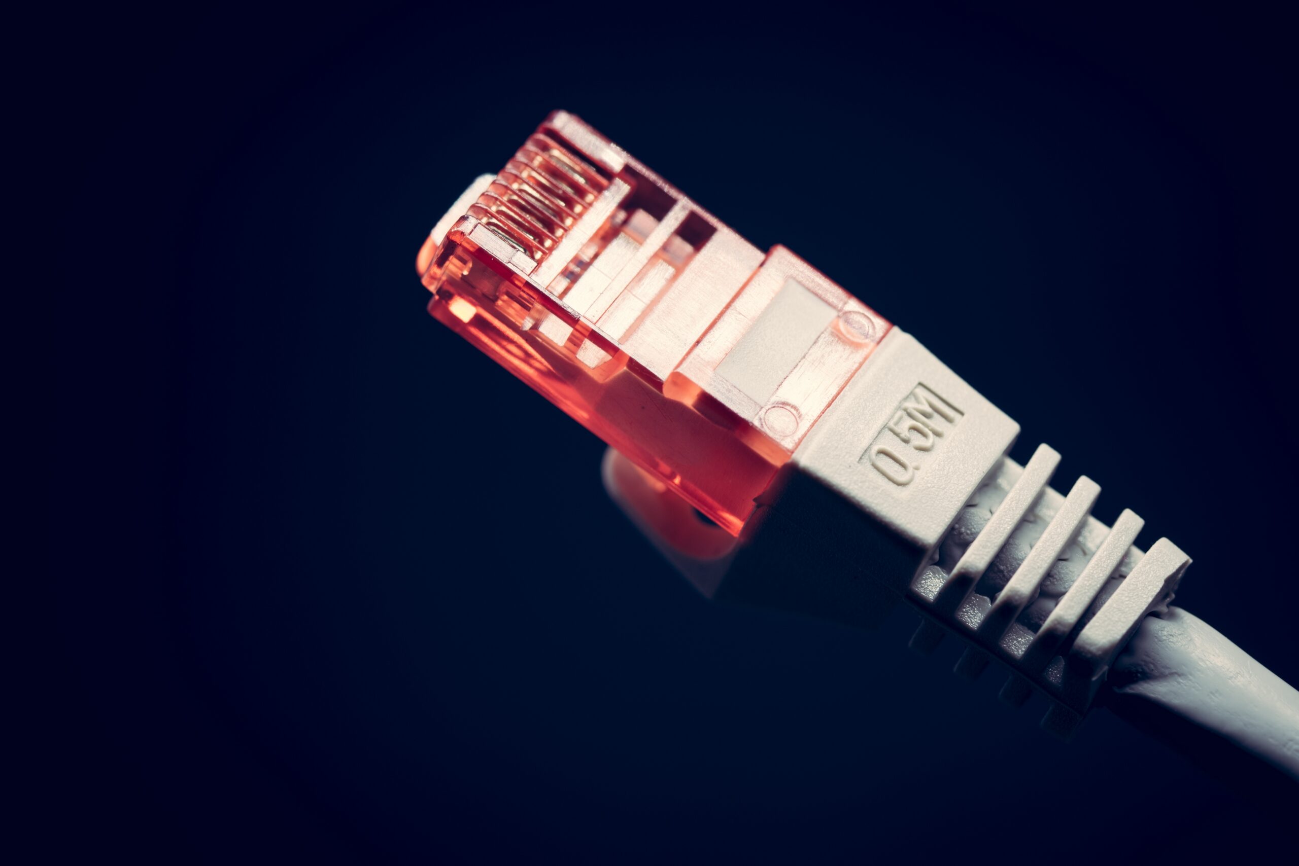 CAT 5 Ethernet cable