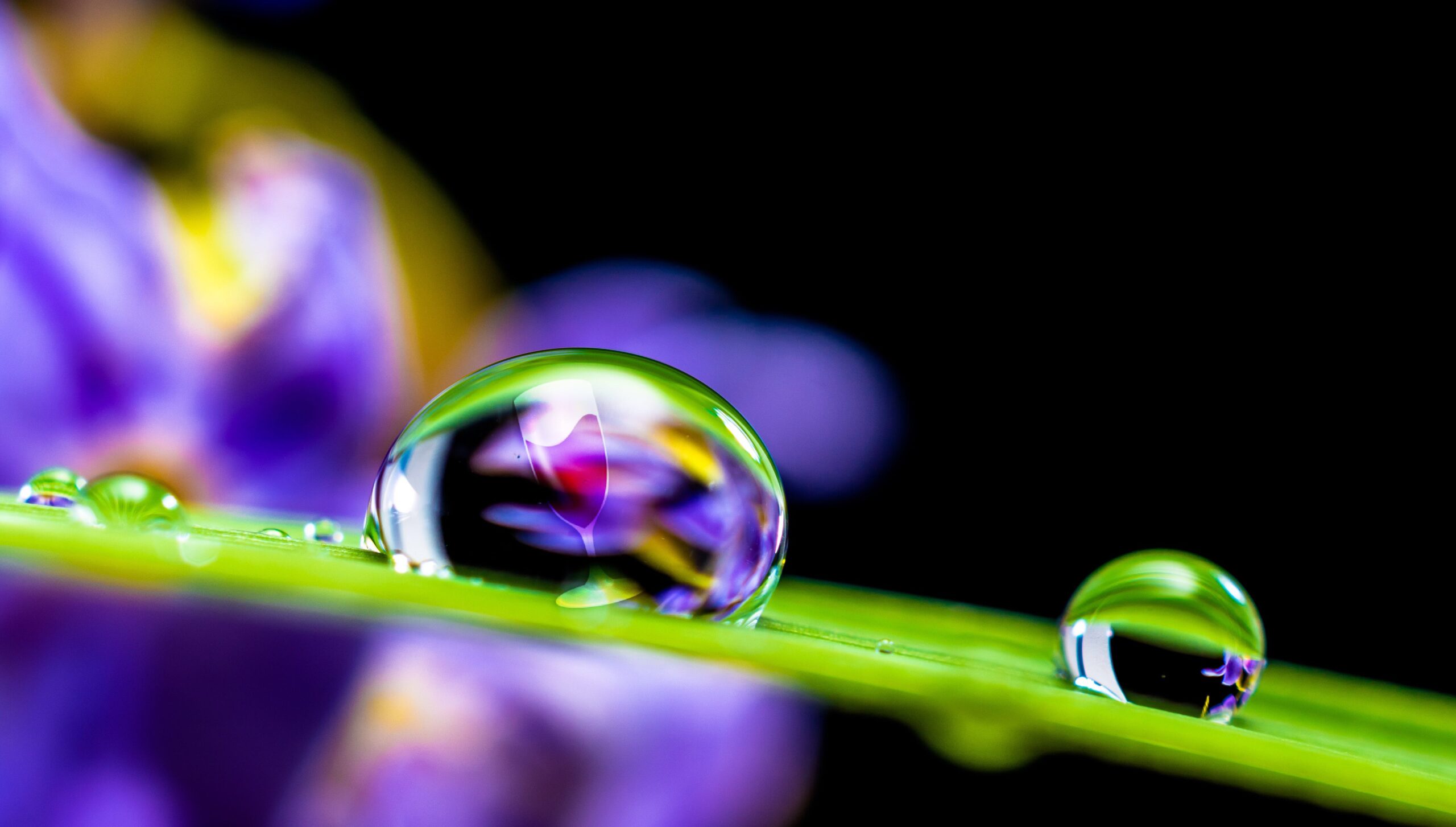 DROPLET WINE