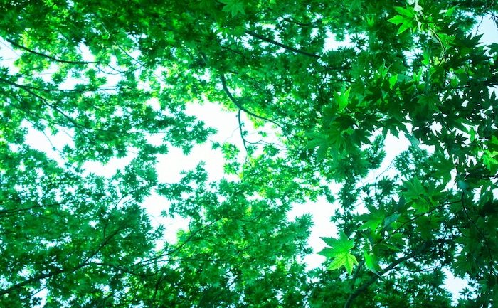 Green IT, Sustainability